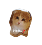 ほっこりにゃんこのスタンプ（個別スタンプ：3）