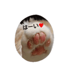 ほっこりにゃんこのスタンプ（個別スタンプ：4）