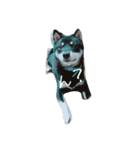 愛犬『ココ』（個別スタンプ：4）