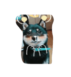 愛犬『ココ』（個別スタンプ：7）