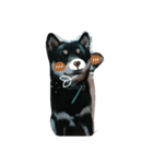 愛犬『ココ』（個別スタンプ：8）