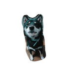 愛犬『ココ』（個別スタンプ：14）