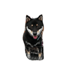 愛犬『ココ』（個別スタンプ：15）
