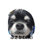 KOBO！（個別スタンプ：2）