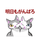 にゃんくす（個別スタンプ：1）