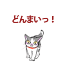 にゃんくす（個別スタンプ：3）