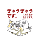 にゃんくす（個別スタンプ：9）