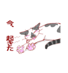 にゃんくす（個別スタンプ：11）