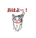 にゃんくす（個別スタンプ：33）