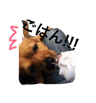 アロマすたんぷ。（個別スタンプ：7）