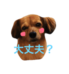 アロマすたんぷ。（個別スタンプ：10）