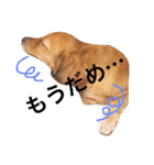 アロマすたんぷ。（個別スタンプ：14）