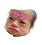 ひなまる（個別スタンプ：28）