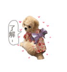 景虎（個別スタンプ：6）