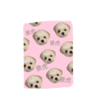 景虎（個別スタンプ：11）