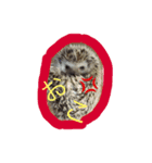 harinezumi no tare（個別スタンプ：2）