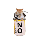 柴犬 こたろうのこたんぷ（個別スタンプ：10）
