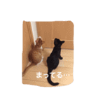 ハチとブシ（個別スタンプ：4）