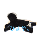 speaking dogs（個別スタンプ：1）