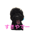 speaking dogs（個別スタンプ：2）