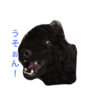 speaking dogs（個別スタンプ：3）