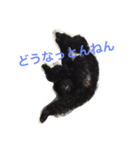 speaking dogs（個別スタンプ：6）