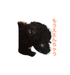 speaking dogs（個別スタンプ：7）