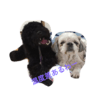 speaking dogs（個別スタンプ：8）