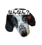 うちの空くん（個別スタンプ：4）