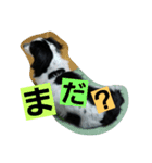 うちの空くん（個別スタンプ：7）