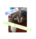 愛想なしのねこ2（個別スタンプ：4）