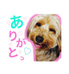 まめさんとらむおくん（個別スタンプ：8）