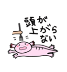 ウー と チヨ（個別スタンプ：24）
