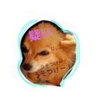 まろまみれ！（個別スタンプ：1）