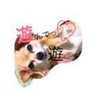 まろまみれ！（個別スタンプ：8）