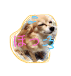 まろまみれ！（個別スタンプ：10）