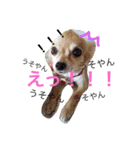 まろまみれ！（個別スタンプ：11）