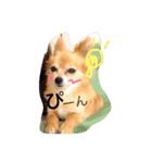 まろまみれ！（個別スタンプ：15）