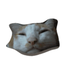 i love cat cat（個別スタンプ：4）