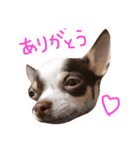 モナナ（個別スタンプ：8）