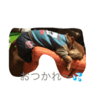 Mugi＆Gen＆S（個別スタンプ：6）