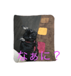 もも0005（個別スタンプ：1）