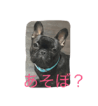 もも0005（個別スタンプ：3）