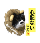 カルビにゃび‼️（個別スタンプ：14）