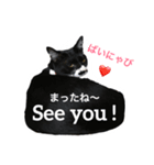 カルビにゃび‼️（個別スタンプ：16）