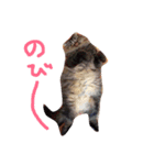 ミルとモン（個別スタンプ：9）