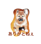 I'm JIRO（個別スタンプ：3）