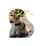 I'm JIRO（個別スタンプ：4）