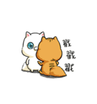 猫フォックス（個別スタンプ：5）