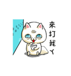 猫フォックス（個別スタンプ：6）